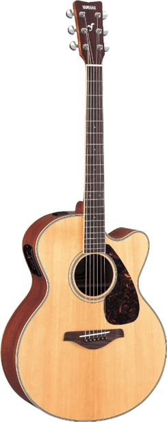 ACOUSTIC ELECTRIC GUITAR