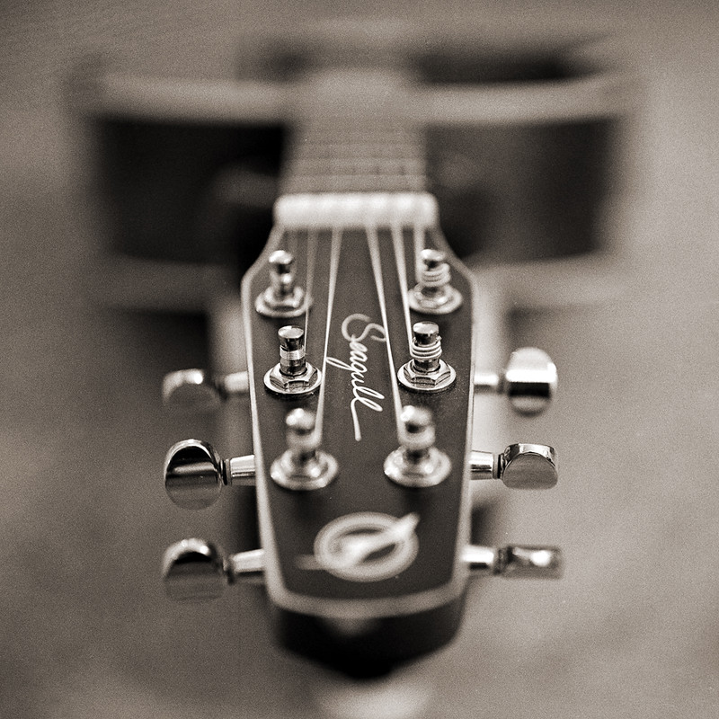 seagul entourage rustic