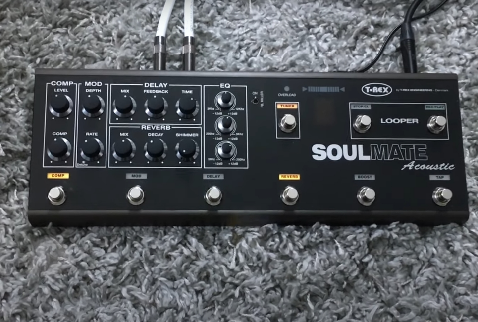 t-rex soulmate acoustic