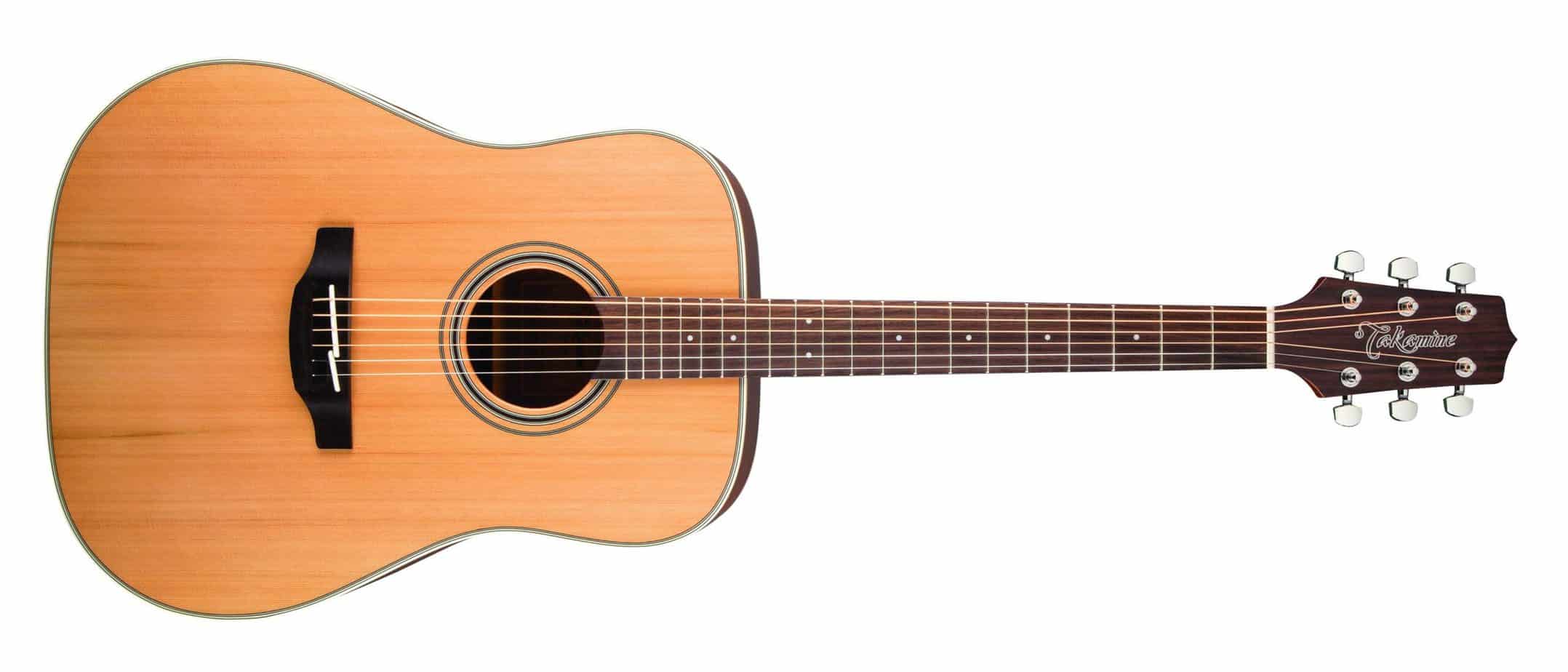 takamineGuitar