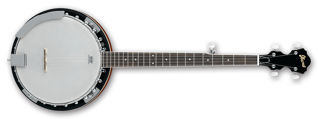 Ibanez B50 Banjo