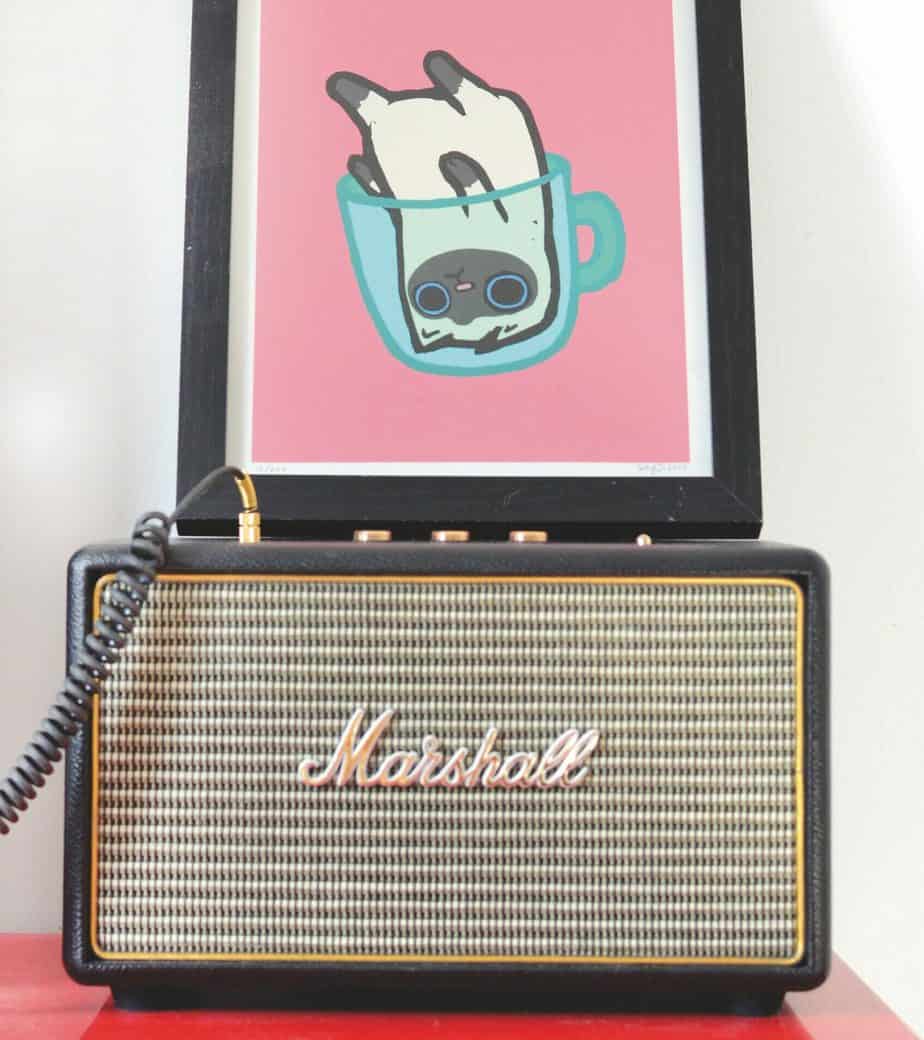 marshall amp