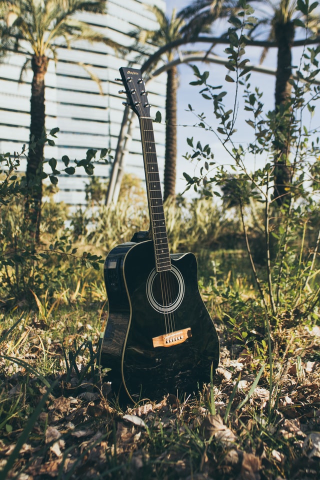 guitar in nature