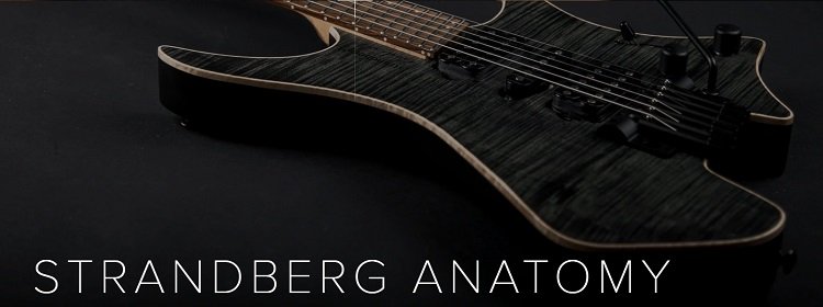 Best Strandberg Guitars