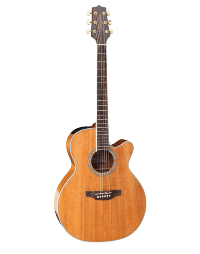Takamine Guitar