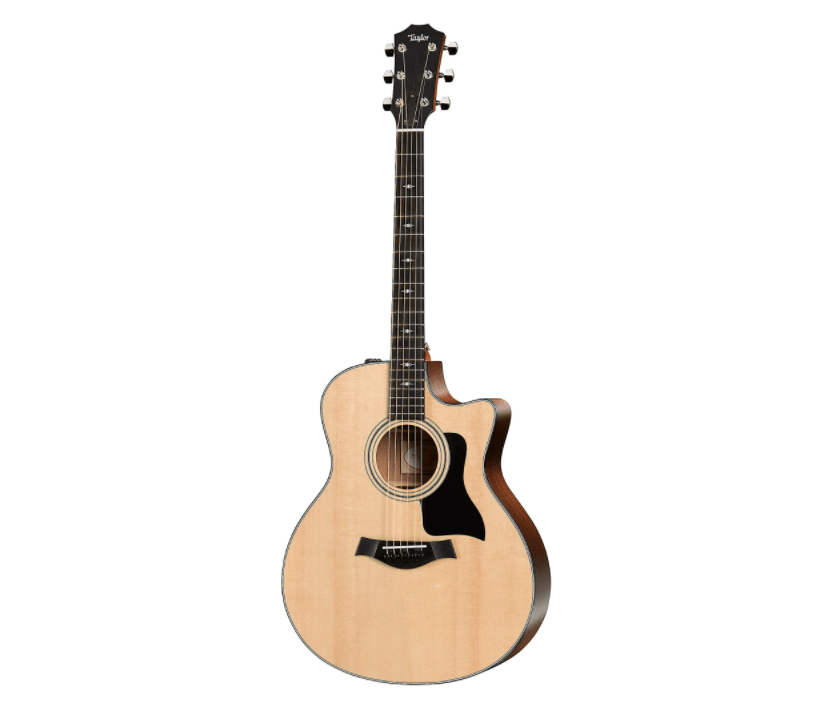 Taylor 316