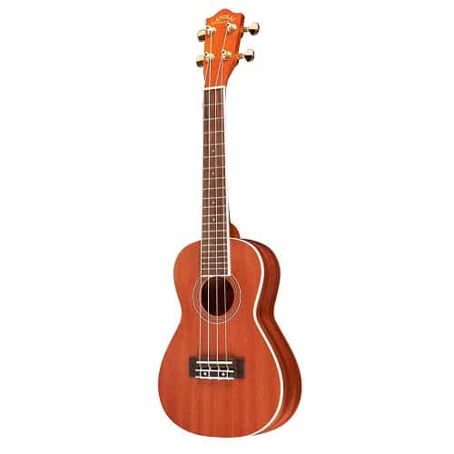 Lanikai LU22CGC Concert Ukulele Natural | Amazon