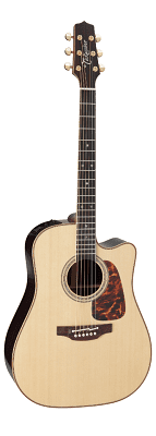 Takamine Pro Series P7DC