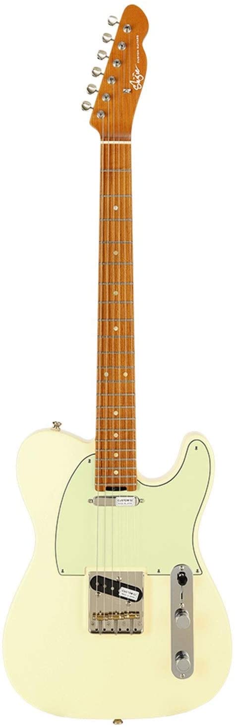 Shijie guitars TLV shijieguitars 2020 TLV Stainless