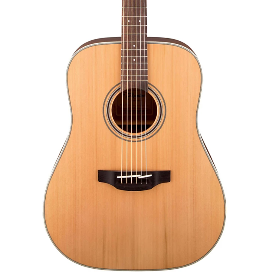 Takamine GD20-NS Dreadnought Natural Acoustic