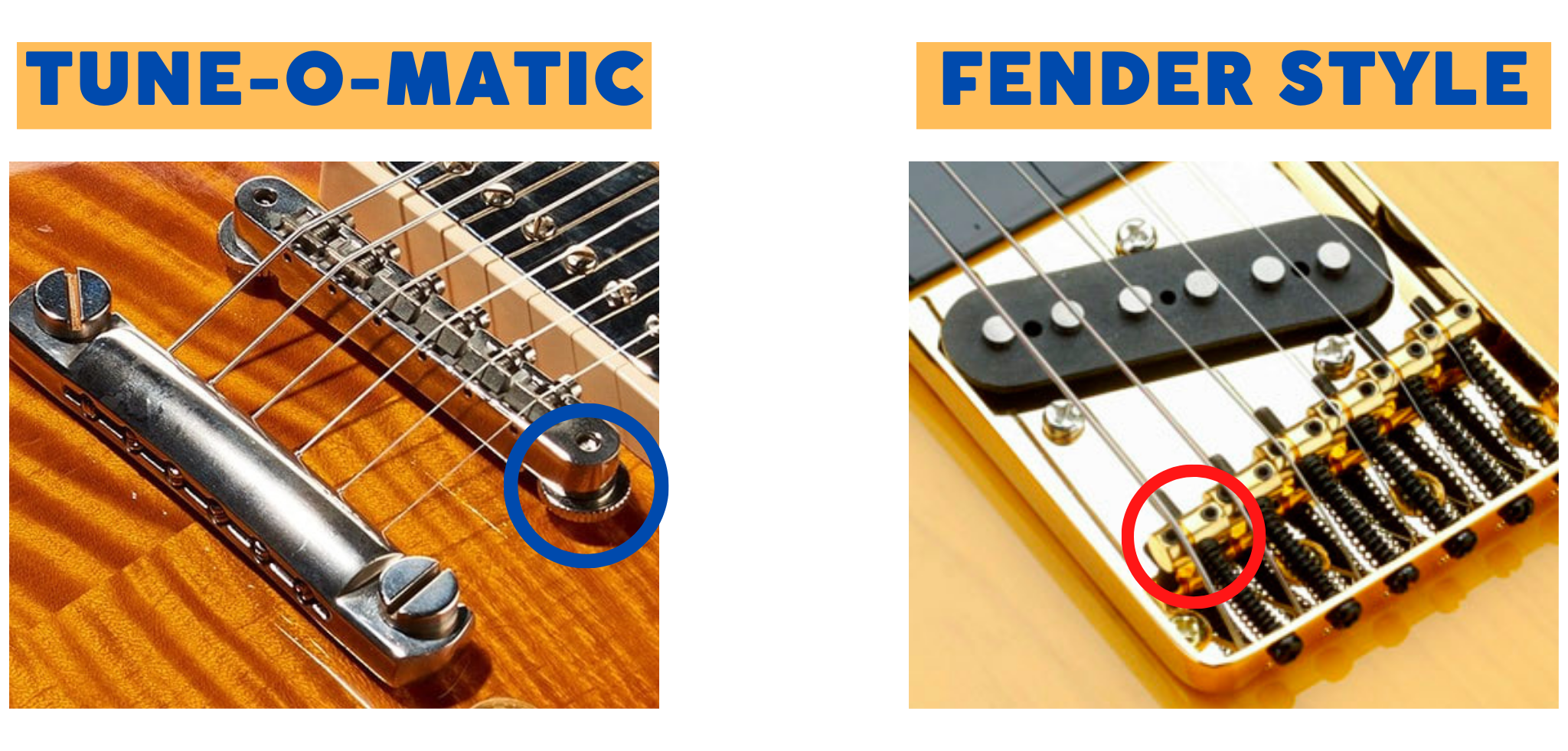 Truss Rod Adjustment