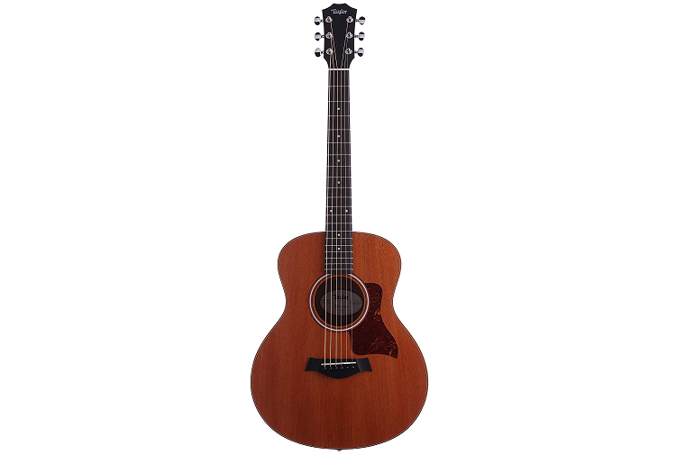 Taylor GS Mini