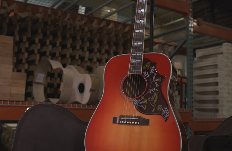 gibson hummingbird design