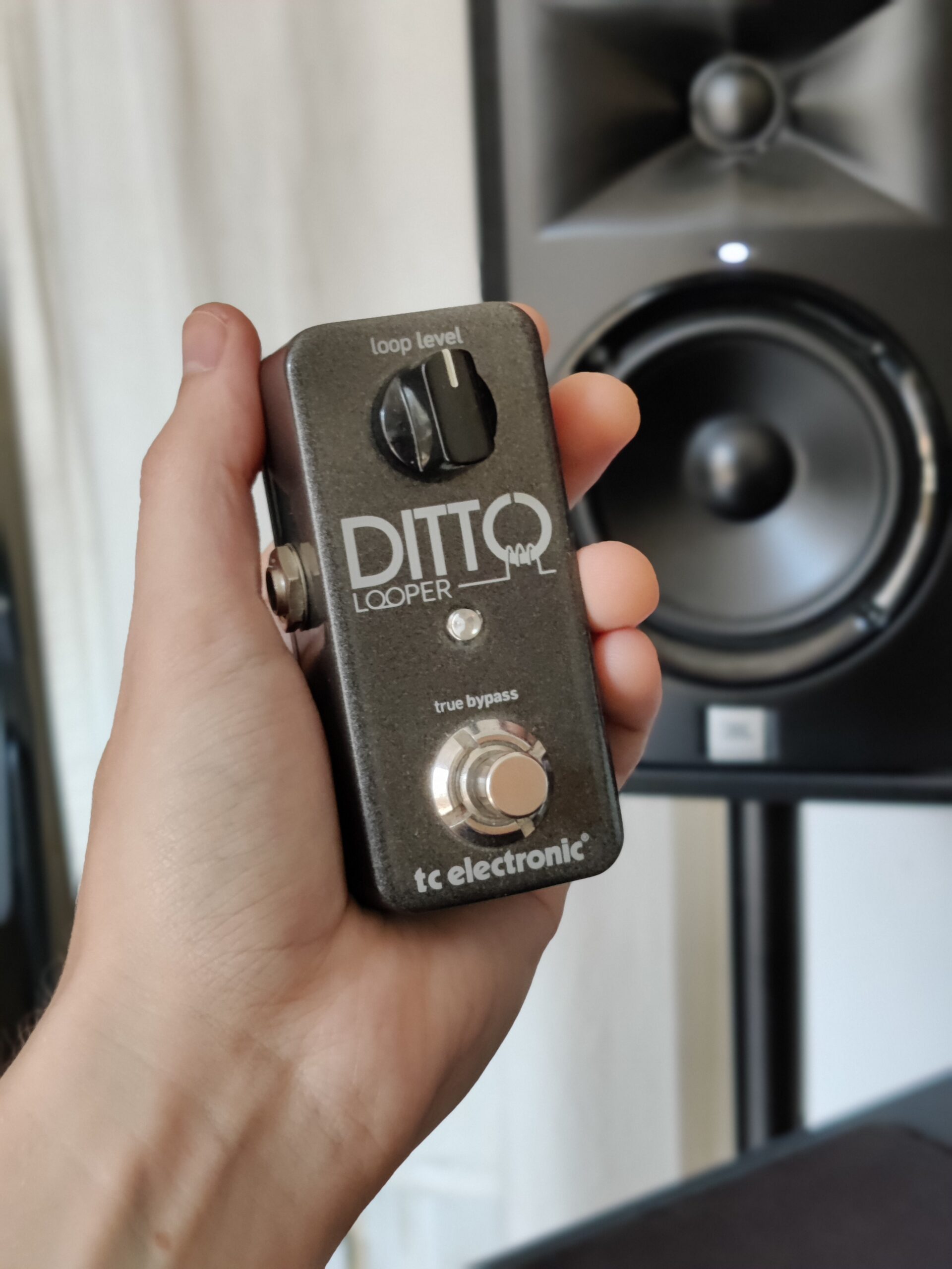 TC Electronic Ditto Looper