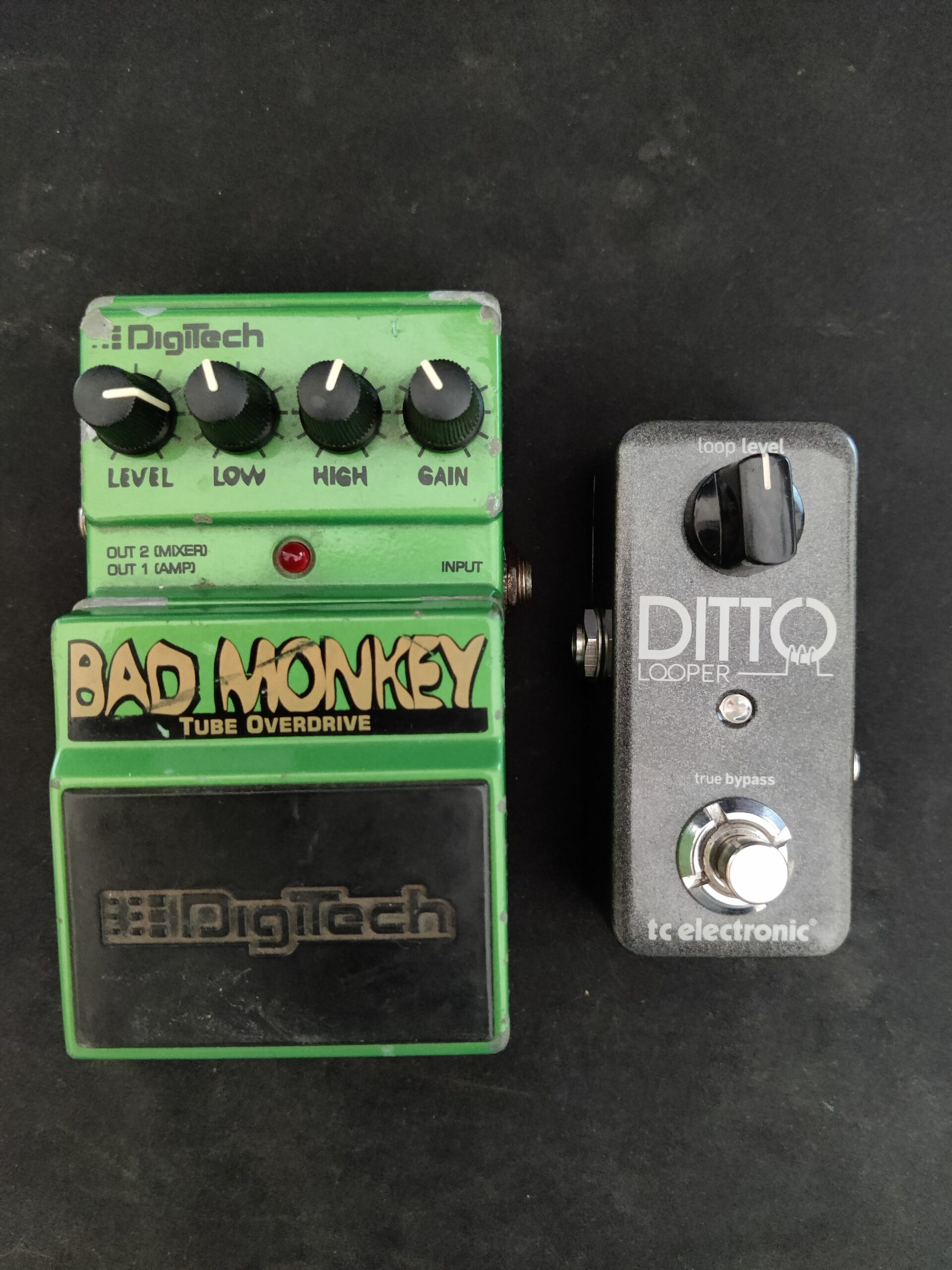 TC Electronic Ditto Looper and Digitech Bad Monkey