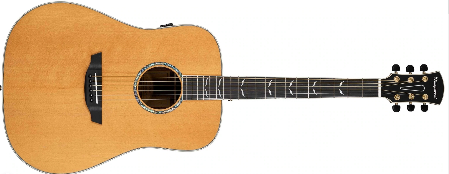 Orangewood Echo Torrified Spruce Live