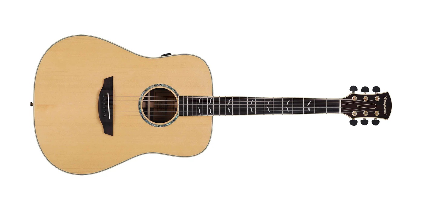 Echo Live | Orangewood