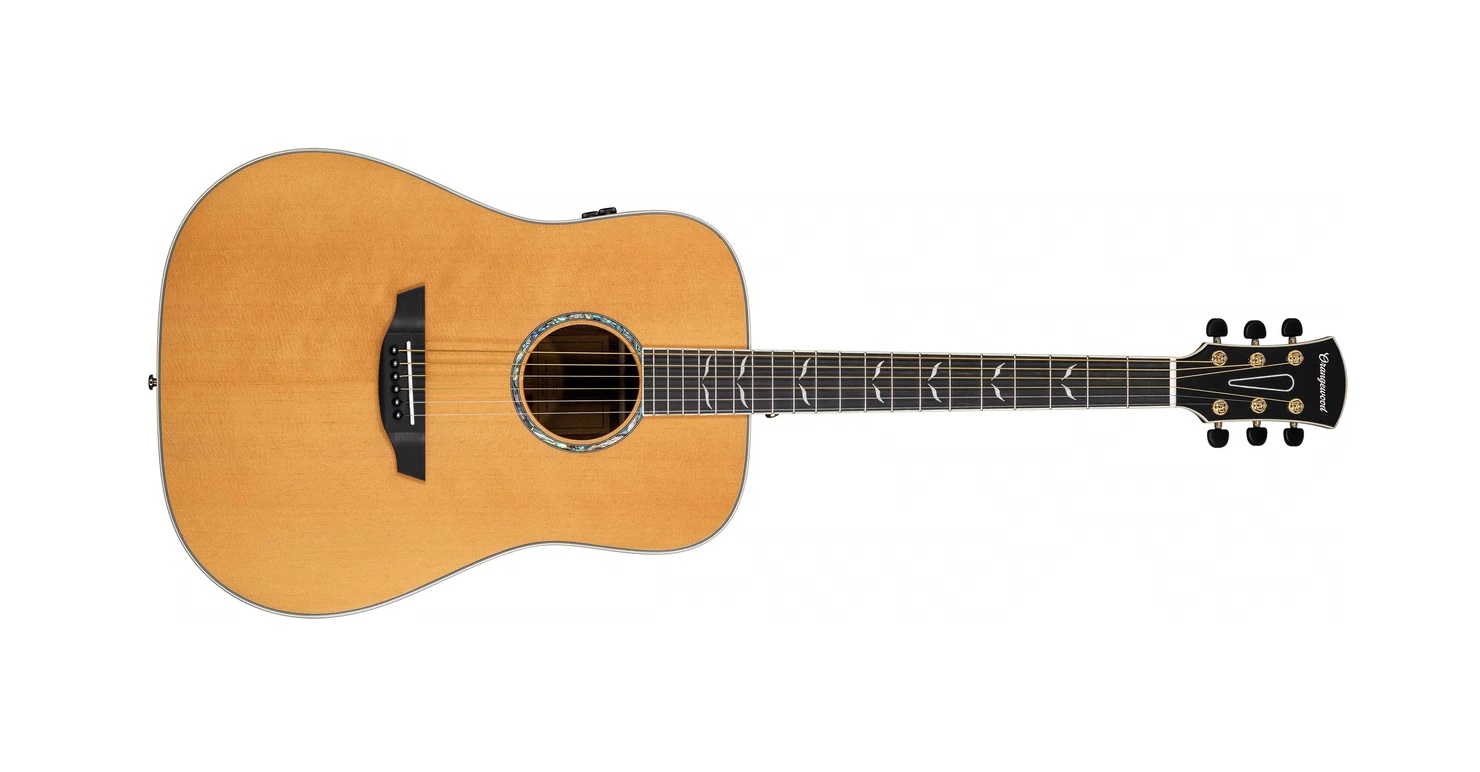 Echo Torrefied Spruce Live | Orangewood