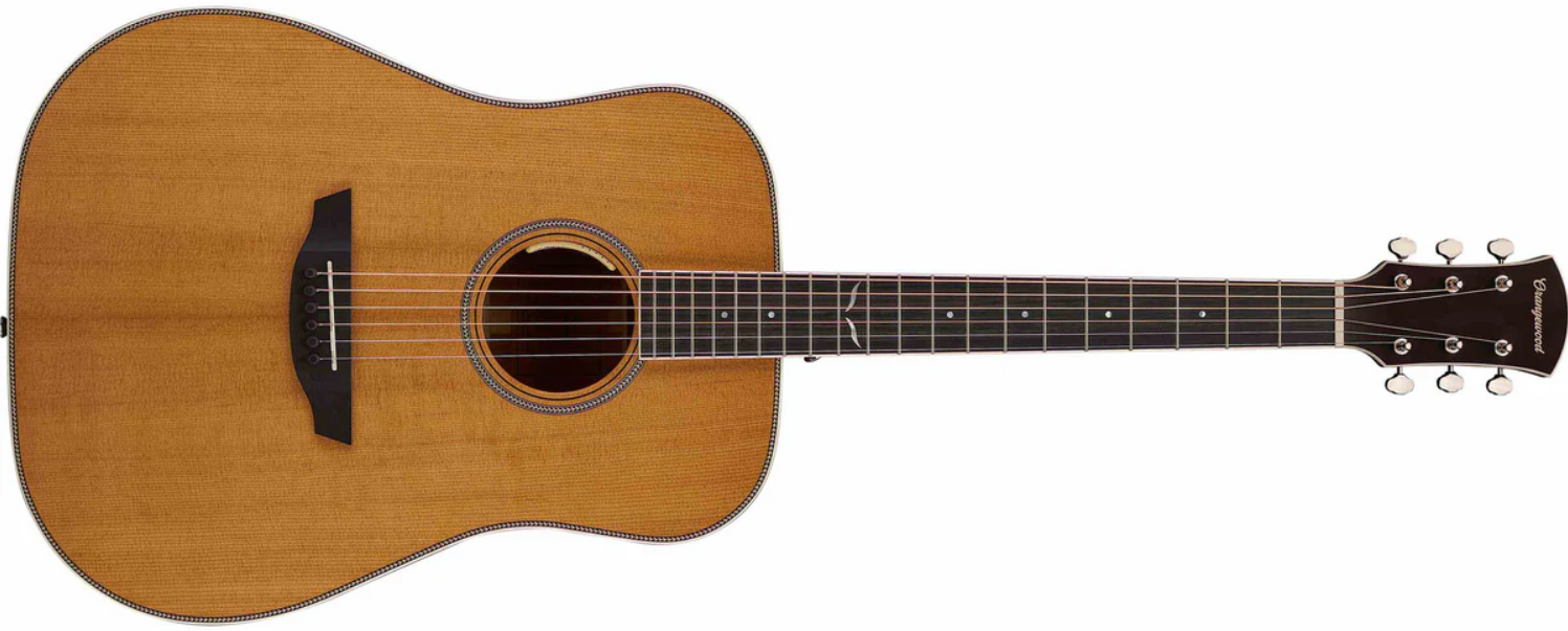 Hudson Torrefied Spruce Live