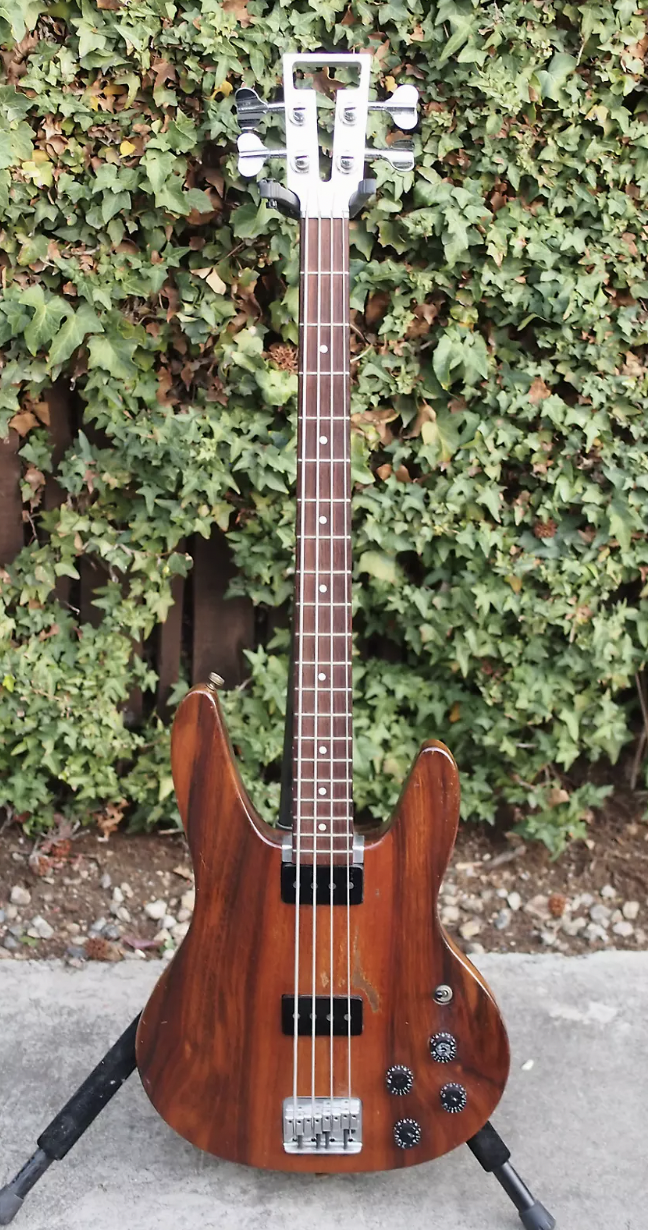 Travis Bean TB2000 Prototype #0 (1974) | Reverb