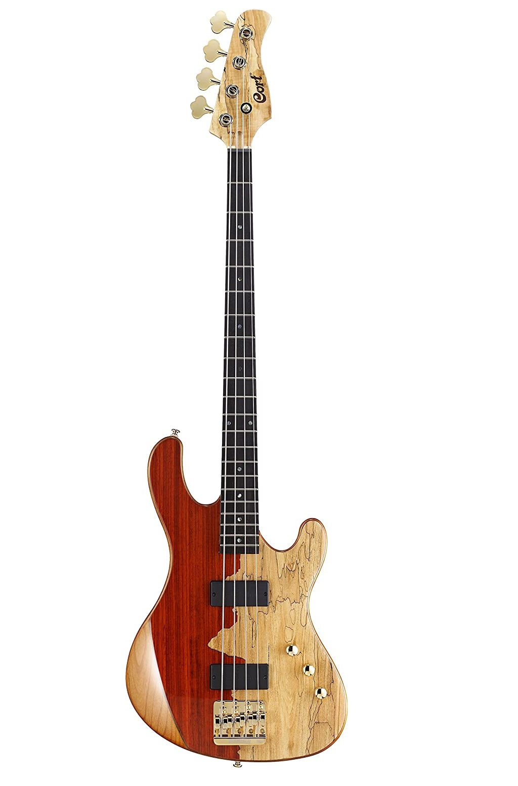 Cort Jeff Berlin Series Rithimic Bass Guitar | Amazon