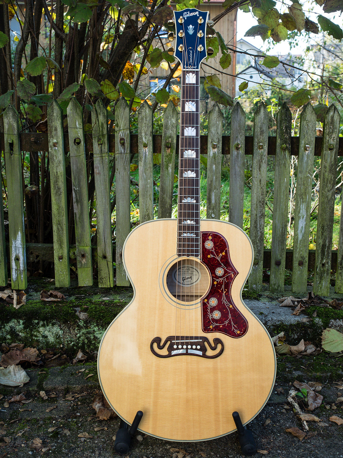 Jumbo Acoustic Guitar
