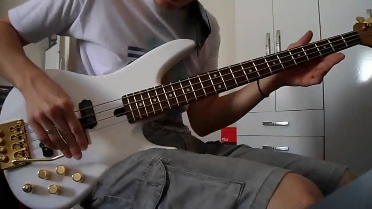 Whammy Bar with a Bass Guitar