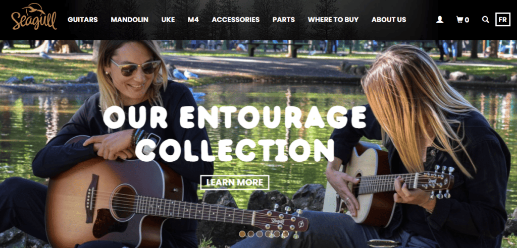 seagull acoustic guitars