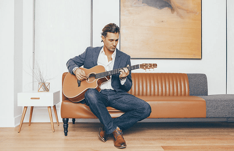 seagull acoustic guitars