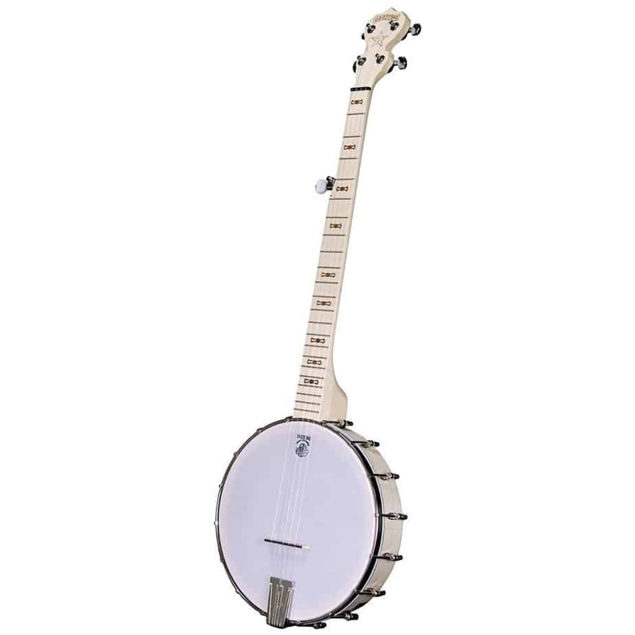 Deering Goodtime 5-String Banjo | Amazon