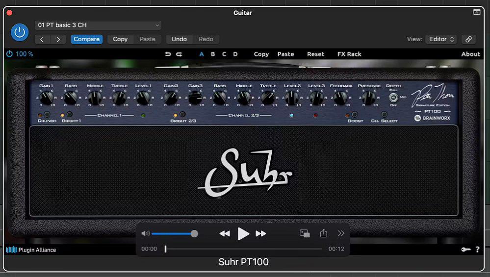 Pete Thorn Amp Sim