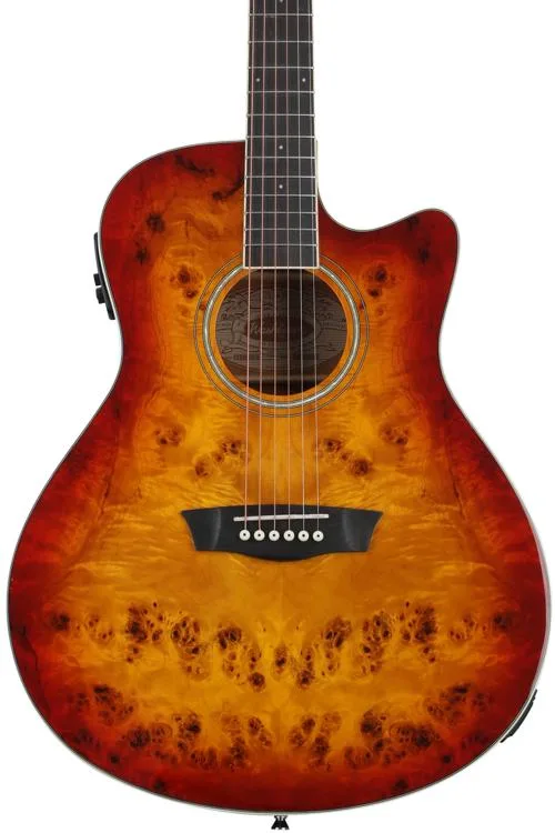 Washburn Deep Forest Burl ACE Acoustic Guitar | Sweetwater