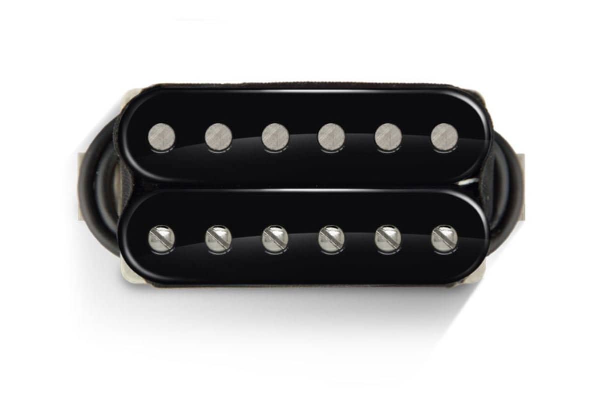 Black Dog BareKnuckles