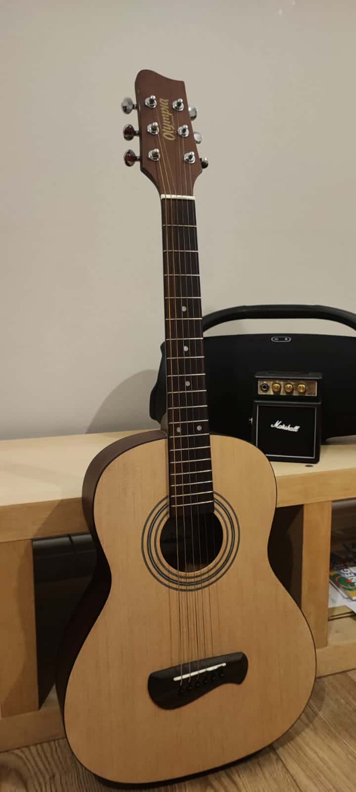 olympia by takoma op-2 best cheap guitars