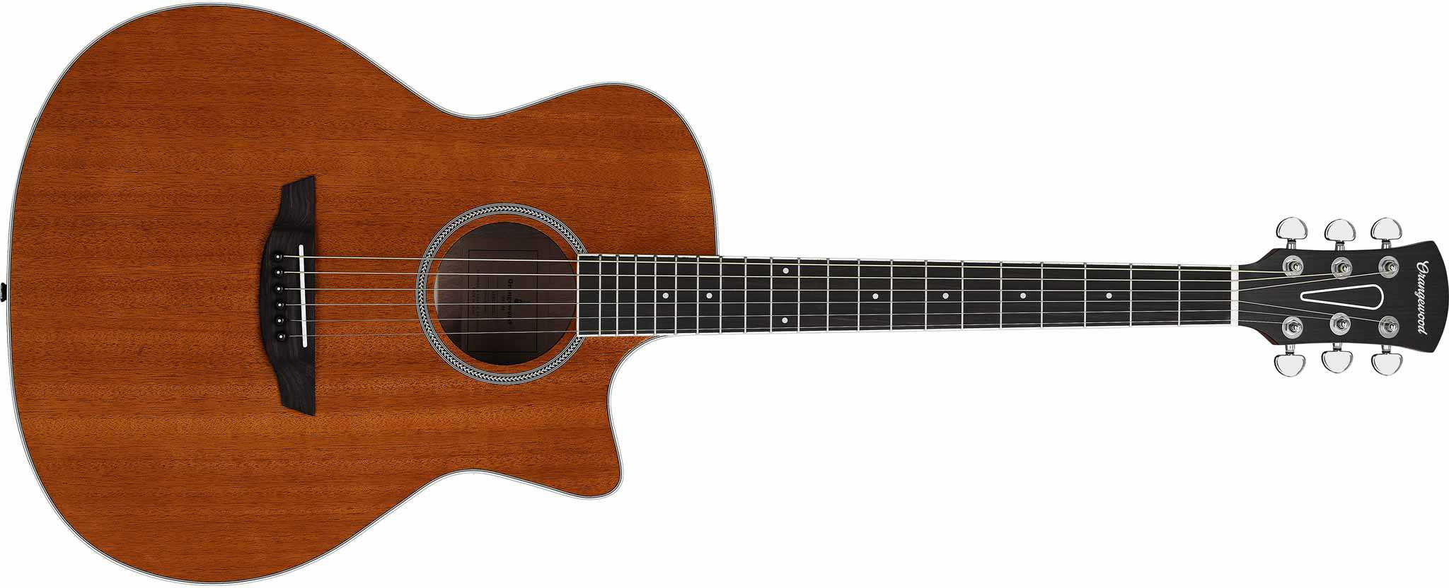 best cheap guitars orangewood ray