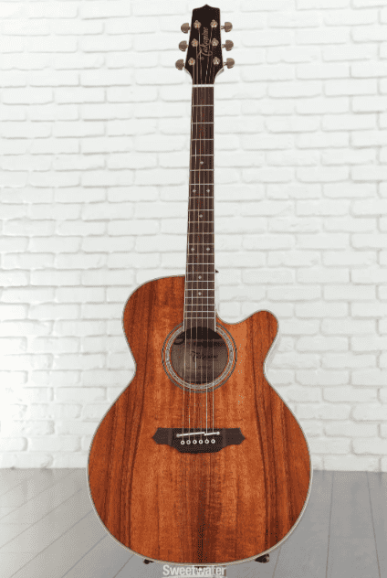 takamine legacy ef508kc