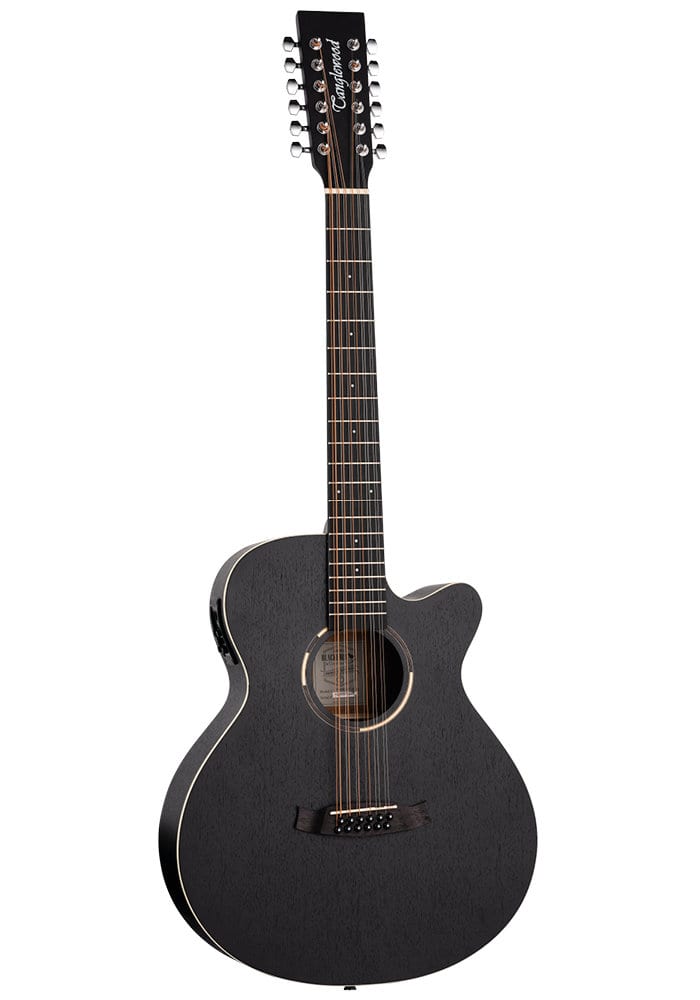 tanglewood sfce 12 string best cheap guitars