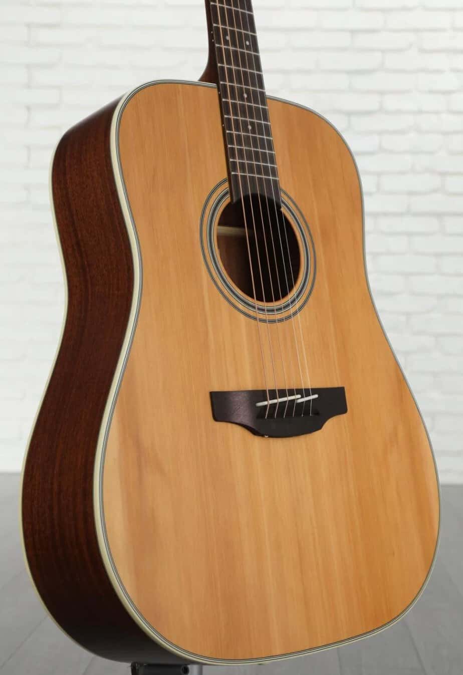 Takamine GD20 Acoustic Guitar
